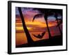 Woman in Hammock, and Palm Trees at Sunset, Coral Coast, Viti Levu, Fiji, South Pacific-David Wall-Framed Photographic Print