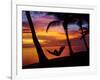 Woman in Hammock, and Palm Trees at Sunset, Coral Coast, Viti Levu, Fiji, South Pacific-David Wall-Framed Photographic Print