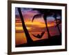 Woman in Hammock, and Palm Trees at Sunset, Coral Coast, Viti Levu, Fiji, South Pacific-David Wall-Framed Photographic Print