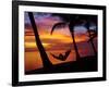 Woman in Hammock, and Palm Trees at Sunset, Coral Coast, Viti Levu, Fiji, South Pacific-David Wall-Framed Photographic Print