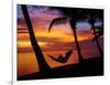 Woman in Hammock, and Palm Trees at Sunset, Coral Coast, Viti Levu, Fiji, South Pacific-David Wall-Framed Photographic Print