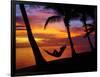 Woman in Hammock, and Palm Trees at Sunset, Coral Coast, Viti Levu, Fiji, South Pacific-David Wall-Framed Photographic Print