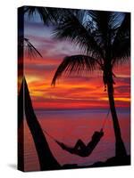 Woman in Hammock, and Palm Trees at Sunset, Coral Coast, Viti Levu, Fiji, South Pacific-David Wall-Stretched Canvas