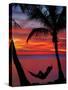 Woman in Hammock, and Palm Trees at Sunset, Coral Coast, Viti Levu, Fiji, South Pacific-David Wall-Stretched Canvas