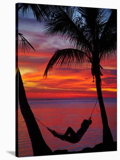 Woman in Hammock, and Palm Trees at Sunset, Coral Coast, Viti Levu, Fiji, South Pacific-David Wall-Stretched Canvas