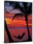 Woman in Hammock, and Palm Trees at Sunset, Coral Coast, Viti Levu, Fiji, South Pacific-David Wall-Stretched Canvas