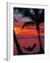 Woman in Hammock, and Palm Trees at Sunset, Coral Coast, Viti Levu, Fiji, South Pacific-David Wall-Framed Premium Photographic Print