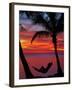 Woman in Hammock, and Palm Trees at Sunset, Coral Coast, Viti Levu, Fiji, South Pacific-David Wall-Framed Premium Photographic Print