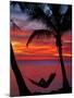 Woman in Hammock, and Palm Trees at Sunset, Coral Coast, Viti Levu, Fiji, South Pacific-David Wall-Mounted Premium Photographic Print