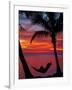 Woman in Hammock, and Palm Trees at Sunset, Coral Coast, Viti Levu, Fiji, South Pacific-David Wall-Framed Photographic Print