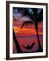 Woman in Hammock, and Palm Trees at Sunset, Coral Coast, Viti Levu, Fiji, South Pacific-David Wall-Framed Photographic Print