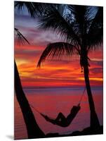 Woman in Hammock, and Palm Trees at Sunset, Coral Coast, Viti Levu, Fiji, South Pacific-David Wall-Mounted Photographic Print