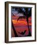 Woman in Hammock, and Palm Trees at Sunset, Coral Coast, Viti Levu, Fiji, South Pacific-David Wall-Framed Premium Photographic Print