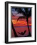 Woman in Hammock, and Palm Trees at Sunset, Coral Coast, Viti Levu, Fiji, South Pacific-David Wall-Framed Premium Photographic Print