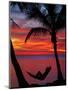 Woman in Hammock, and Palm Trees at Sunset, Coral Coast, Viti Levu, Fiji, South Pacific-David Wall-Mounted Premium Photographic Print