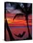 Woman in Hammock, and Palm Trees at Sunset, Coral Coast, Viti Levu, Fiji, South Pacific-David Wall-Stretched Canvas