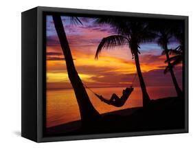 Woman in Hammock, and Palm Trees at Sunset, Coral Coast, Viti Levu, Fiji, South Pacific-David Wall-Framed Stretched Canvas