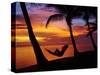 Woman in Hammock, and Palm Trees at Sunset, Coral Coast, Viti Levu, Fiji, South Pacific-David Wall-Stretched Canvas