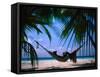 Woman in Hammock on Beach, Ari Atoll, Maldives-Stuart Westmorland-Framed Stretched Canvas