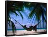 Woman in Hammock on Beach, Ari Atoll, Maldives-Stuart Westmorland-Framed Stretched Canvas