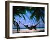 Woman in Hammock on Beach, Ari Atoll, Maldives-Stuart Westmorland-Framed Premium Photographic Print