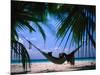 Woman in Hammock on Beach, Ari Atoll, Maldives-Stuart Westmorland-Mounted Photographic Print