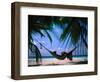 Woman in Hammock on Beach, Ari Atoll, Maldives-Stuart Westmorland-Framed Photographic Print