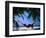 Woman in Hammock on Beach, Ari Atoll, Maldives-Stuart Westmorland-Framed Photographic Print