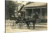 Woman in Horse-Drawn Buggy-null-Stretched Canvas