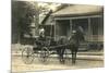 Woman in Horse-Drawn Buggy-null-Mounted Art Print