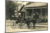 Woman in Horse-Drawn Buggy-null-Mounted Art Print