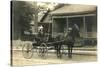 Woman in Horse-Drawn Buggy-null-Stretched Canvas