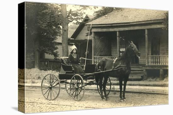 Woman in Horse-Drawn Buggy-null-Stretched Canvas