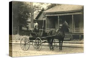 Woman in Horse-Drawn Buggy-null-Stretched Canvas