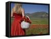 Woman in Poppy Field, Castelluccio Di Norcia, Norcia, Umbria, Italy, Europe-Angelo Cavalli-Framed Stretched Canvas