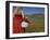 Woman in Poppy Field, Castelluccio Di Norcia, Norcia, Umbria, Italy, Europe-Angelo Cavalli-Framed Photographic Print