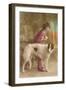 Woman in Purple with Borzoi-null-Framed Art Print