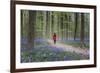Woman in red coat walking through bluebell woods, Hallerbos, Belgium, Europe-Francesco Vaninetti-Framed Photographic Print