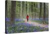 Woman in red coat walking through bluebell woods, Hallerbos, Belgium, Europe-Francesco Vaninetti-Stretched Canvas