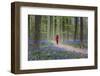 Woman in red coat walking through bluebell woods, Hallerbos, Belgium, Europe-Francesco Vaninetti-Framed Photographic Print