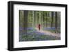 Woman in red coat walking through bluebell woods, Hallerbos, Belgium, Europe-Francesco Vaninetti-Framed Photographic Print