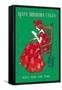 Woman in Red Reading-Ferdinand Von Reznicek-Framed Stretched Canvas