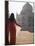 Woman in Sari at Taj Mahal, Agra, Uttar Pradesh, India (Mr)-Ian Trower-Mounted Photographic Print