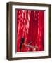 Woman in Sari Checking the Quality of Freshly Dyed Fabric Hanging to Dry, Sari Garment Factory, Raj-Gavin Hellier-Framed Photographic Print