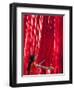 Woman in Sari Checking the Quality of Freshly Dyed Fabric Hanging to Dry, Sari Garment Factory, Raj-Gavin Hellier-Framed Photographic Print