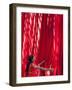 Woman in Sari Checking the Quality of Freshly Dyed Fabric Hanging to Dry, Sari Garment Factory, Raj-Gavin Hellier-Framed Photographic Print