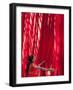 Woman in Sari Checking the Quality of Freshly Dyed Fabric Hanging to Dry, Sari Garment Factory, Raj-Gavin Hellier-Framed Photographic Print