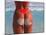 Woman in Thong at Beach with Sandy Bottom-Bill Bachmann-Mounted Premium Photographic Print