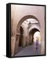 Woman in Traditional Djellaba Dress in Narrow Streets of Old Quarter, Medina, Marrakesh, Morocco-Stephen Studd-Framed Stretched Canvas