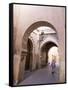 Woman in Traditional Djellaba Dress in Narrow Streets of Old Quarter, Medina, Marrakesh, Morocco-Stephen Studd-Framed Stretched Canvas